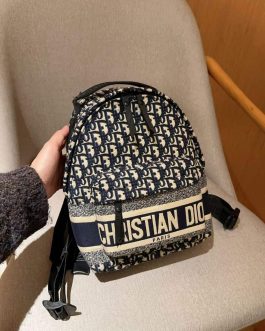 Dior backpack bag