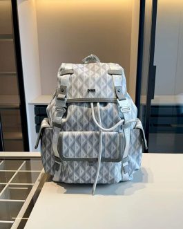 Dior backpack bag