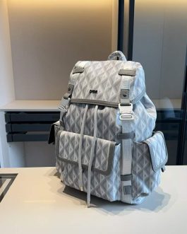 Dior backpack bag