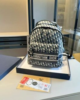 Dior backpack bag