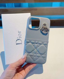 Etui on the phone Dior