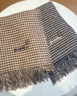 Dior men's and women's scarf