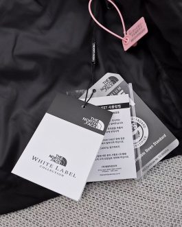 The North Face winter down jacket