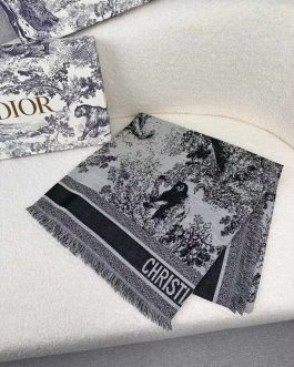 Dior women's scarf scarf