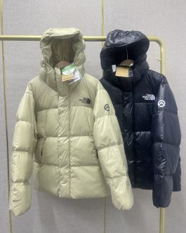 The North Face winter down jacket