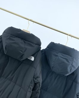 The North Face winter down jacket