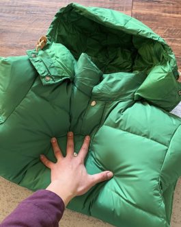 The North Face winter down jacket