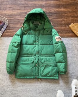 The North Face winter down jacket