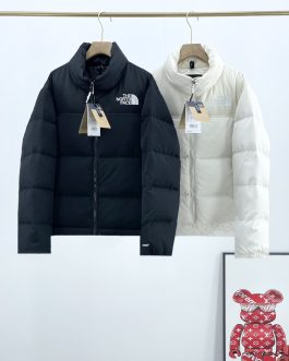 The North Face winter down jacket