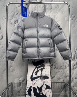 The North Face winter down jacket