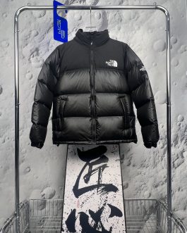 The North Face winter down jacket