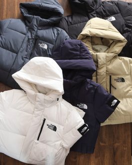 The North Face winter down jacket