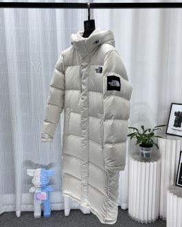 The North Face winter down jacket