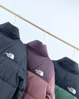 The North Face winter down jacket