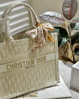 Dior handbag women's bag