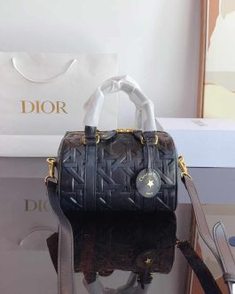 Dior handbag women's bag, score