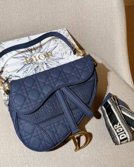 Geanta de dama Dior eleganta, Scor