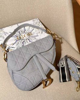 Geanta de dama Dior eleganta, Scor