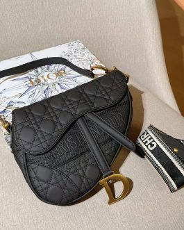 Geanta de dama Dior eleganta, Scor