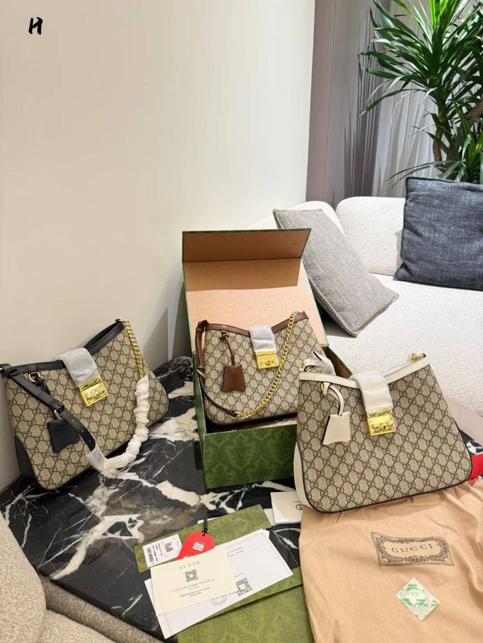 IMG_20260126_193113_954